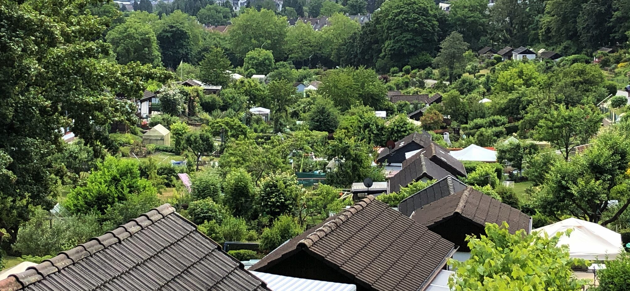K-Weg mit Blick auf die Friedhofskirche_Foto WMG