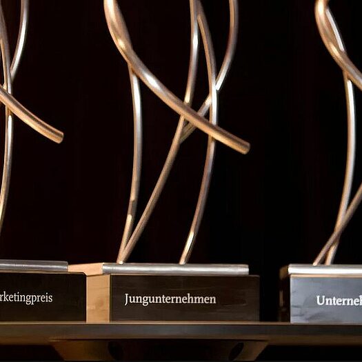 Wuppertaler  Wirtschaftspreis: Preise der Kategorien