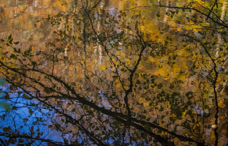 Stroeermeinwuppertal_Gewinner 2023 Wasserspiegelung Fischteich im Saalbachtal_Foto  Karl-Heinz Kamiz